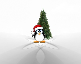adni18_Linux_Christmas_640